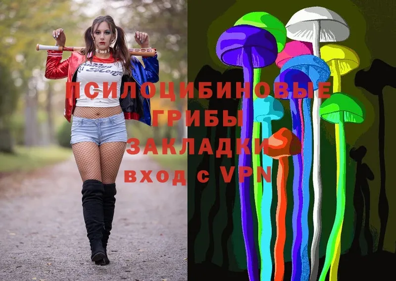 Псилоцибиновые грибы Psilocybe  Орехово-Зуево 