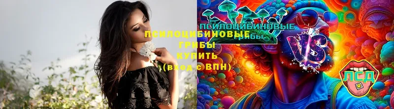 Псилоцибиновые грибы Psilocybine cubensis Орехово-Зуево